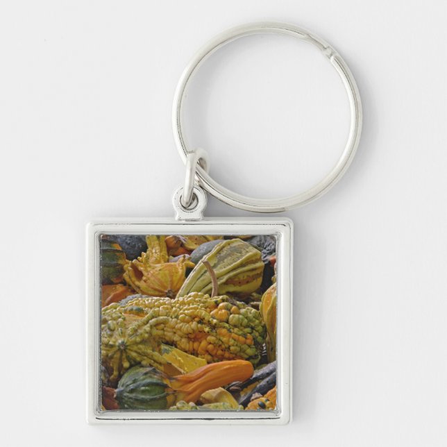 Variety of squash key ring (Front)