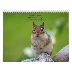 Variety of Wildlife 2026 Calendar