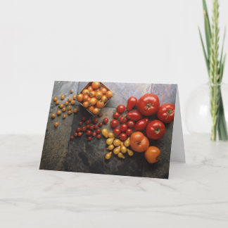 Variety to Life Holiday Card
