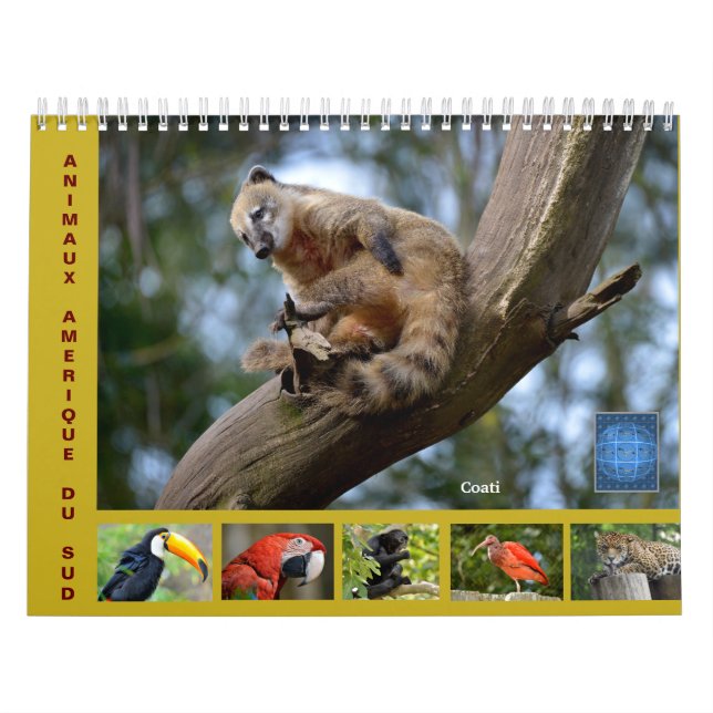 Various animals of South America 12 month Calendar (Cover)