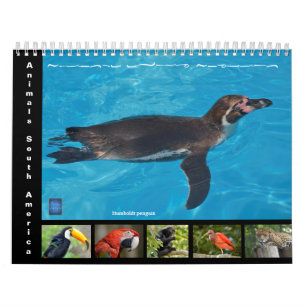 Various animals of South America 12 month Calendar