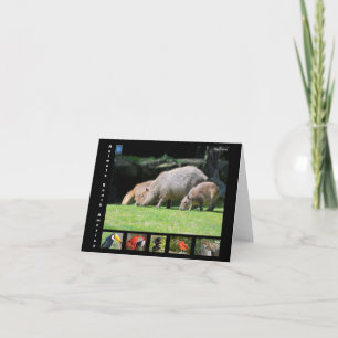 Various animals of South America Thank You Card