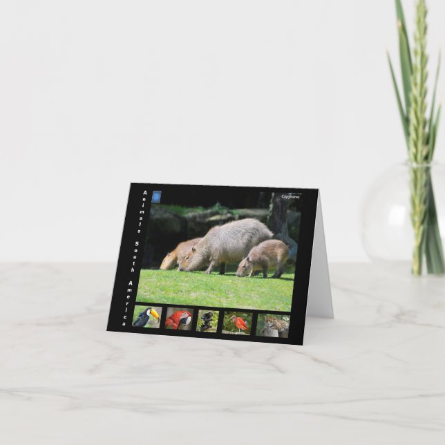 Various animals of South America Thank You Card (Front)