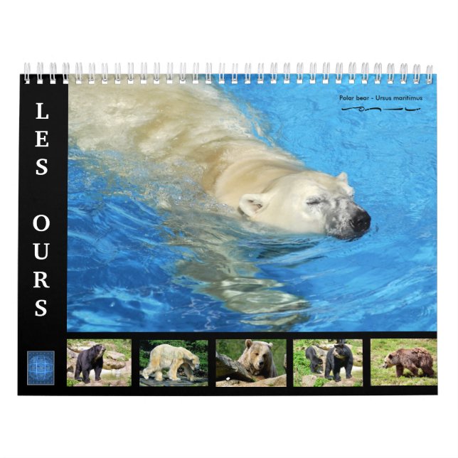 Various bears 12 month calendar (Cover)