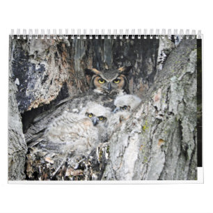 Various Birds and Ducks Calendar