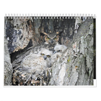Various Birds and Ducks Calendar