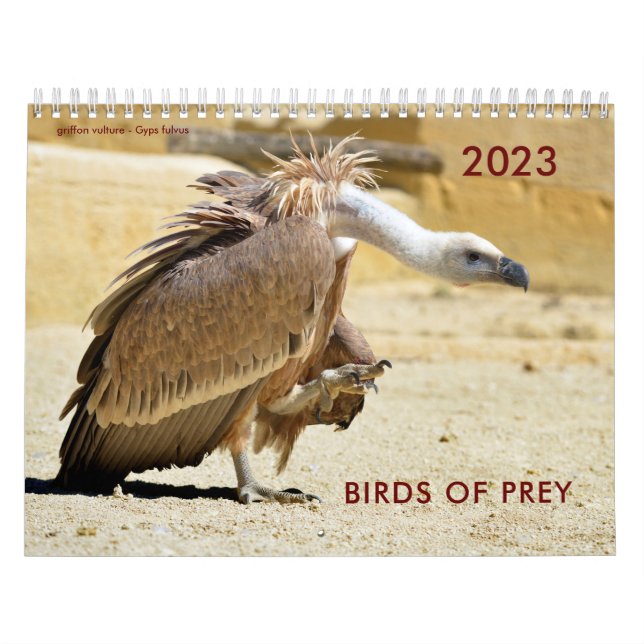 Various birds of prey calendar (Cover)