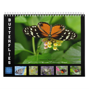 Various butterflies 12 month calendar