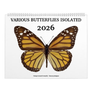 Various butterflies 2023 calendar