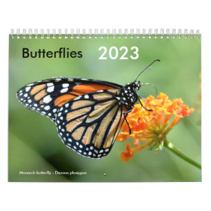 Various butterflies calendar