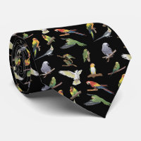 Various Colourful Parrots