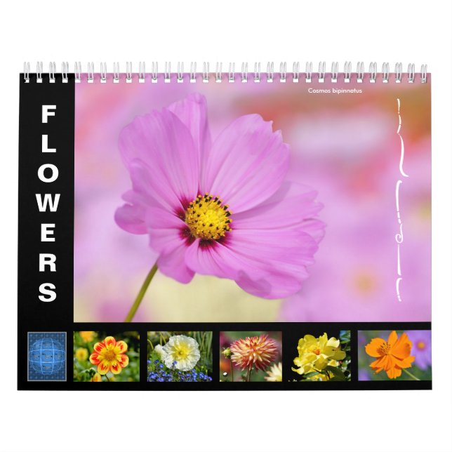 Various flowers 12 month calendar (Cover)