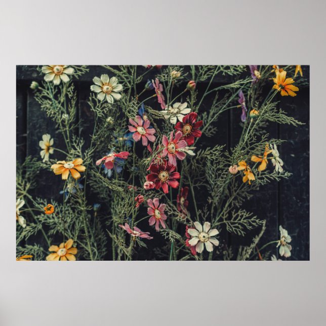 Various flowers on the black wooden background. Ab Poster (Front)