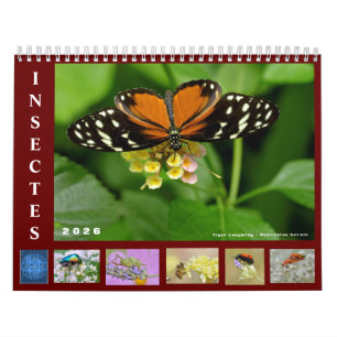 Various insects 12 month calendar