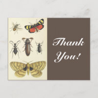 Various Insects + "Thank You!", Vintage Look