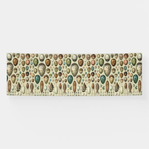 Various kinds of Egg Scientific Illustration Banner