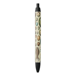 Various kinds of Egg Scientific Illustration Black Ink Pen