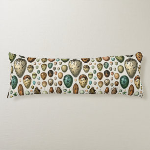 Various kinds of Egg Scientific Illustration Body Cushion