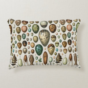 Various kinds of Egg Scientific Illustration Decorative Cushion