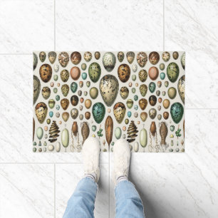 Various kinds of Egg Scientific Illustration Doormat