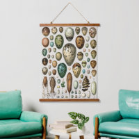 Various kinds of Egg Scientific Illustration