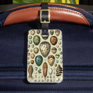 Various kinds of Egg Scientific Illustration Luggage Tag