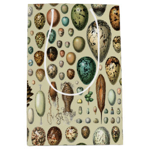 Various kinds of Egg Scientific Illustration Medium Gift Bag