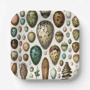Various kinds of Egg Scientific Illustration Paper Plate