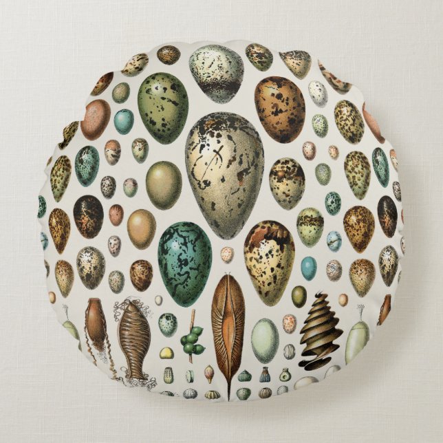 Various kinds of Egg Scientific Illustration Round Cushion (Front)