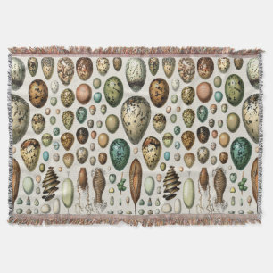 Various kinds of Egg Scientific Illustration Throw Blanket