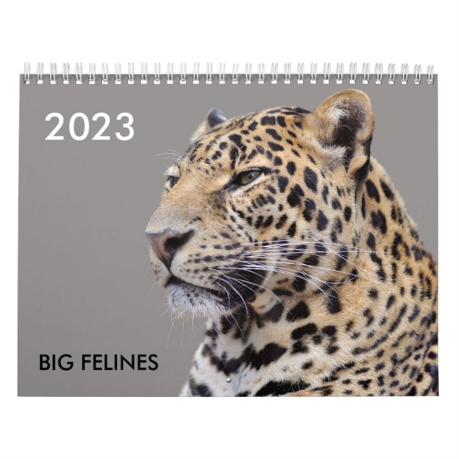 Various large cat-like calendar (Cover)