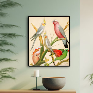 Various parakeets poster