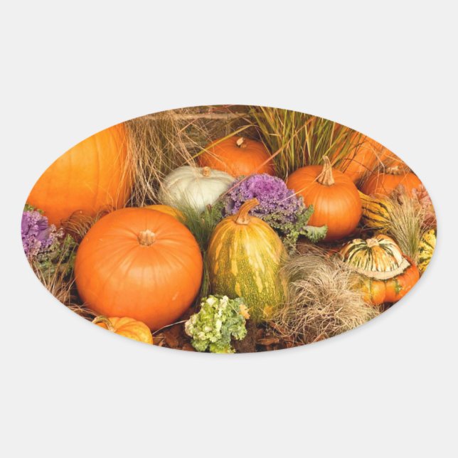 Various pumpkins oval sticker (Front)