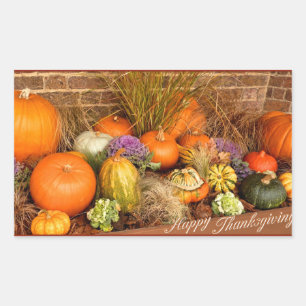 Various pumpkins rectangular sticker