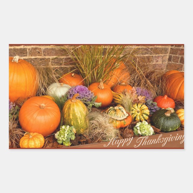 Various pumpkins rectangular sticker (Front)