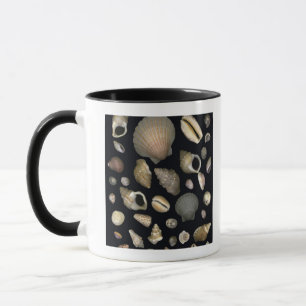 Various sea shells mug