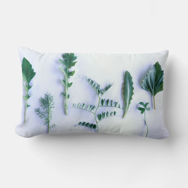 Various Shape Green Leaves Nature Feel Lumbar Cushion (Front)