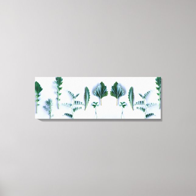 Various Shape Green Leaves Plants Nature Feel Canvas Print (Front)