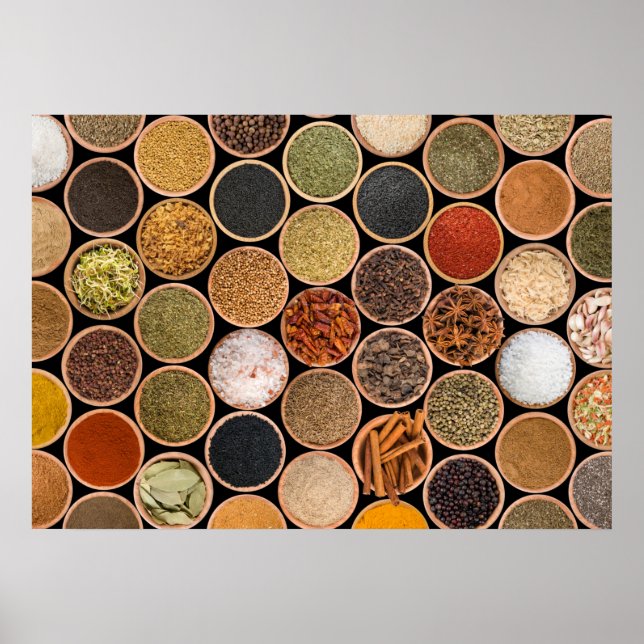 Various spices and food ingredients poster (Front)