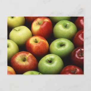 Various Types of Apples Postcard