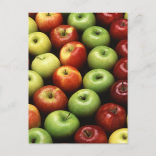 Various Types of Apples Postcard