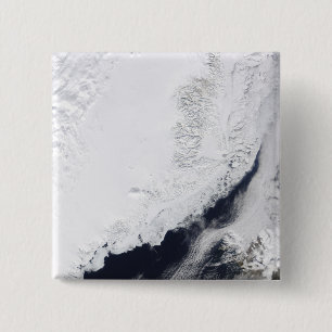 Various types of sea ice 15 cm square badge