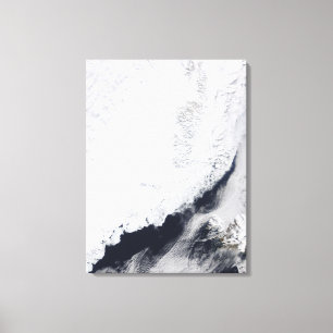 Various types of sea ice canvas print