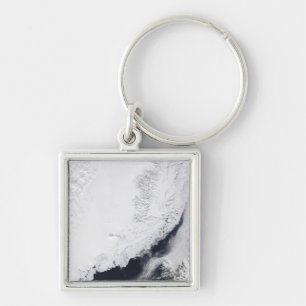 Various types of sea ice key ring