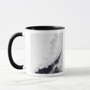 Various types of sea ice mug