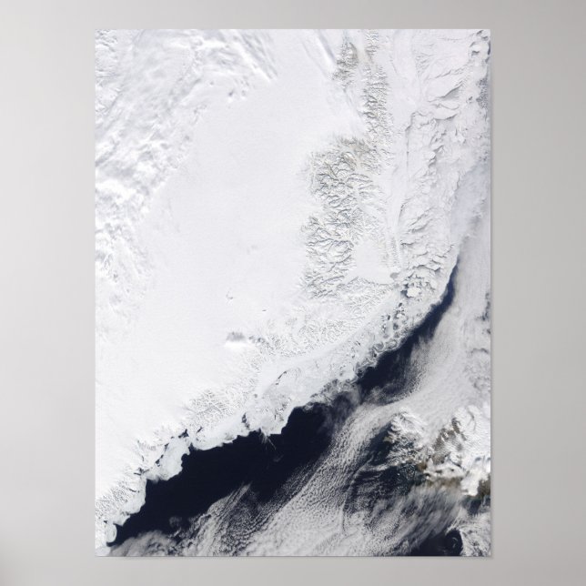 Various types of sea ice poster (Front)