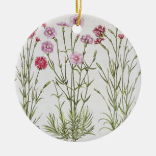 Various varieties of Dianthus, from the 'Hortus Ey Ceramic Tree Decoration