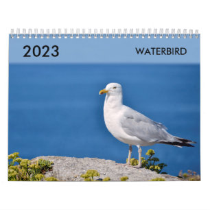 Various waterbird calendar