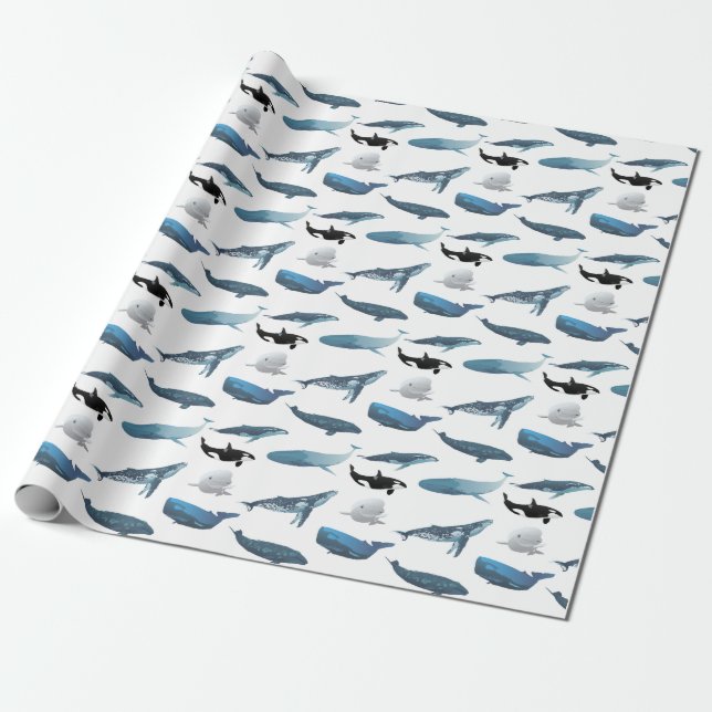 Various Whales Wrapping Paper (Unrolled)