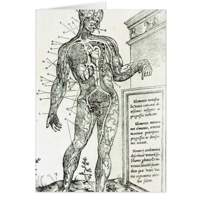 Vascular System according to Charles Etienne (Front)